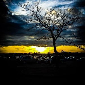 Meet your Posher, Penny